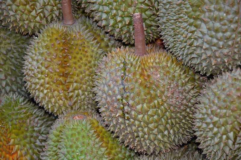 Durian