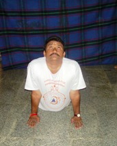 Bujangasana