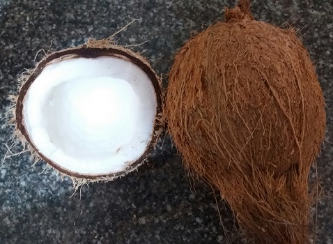 coconut