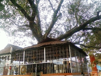 Vadakkumnatha temple