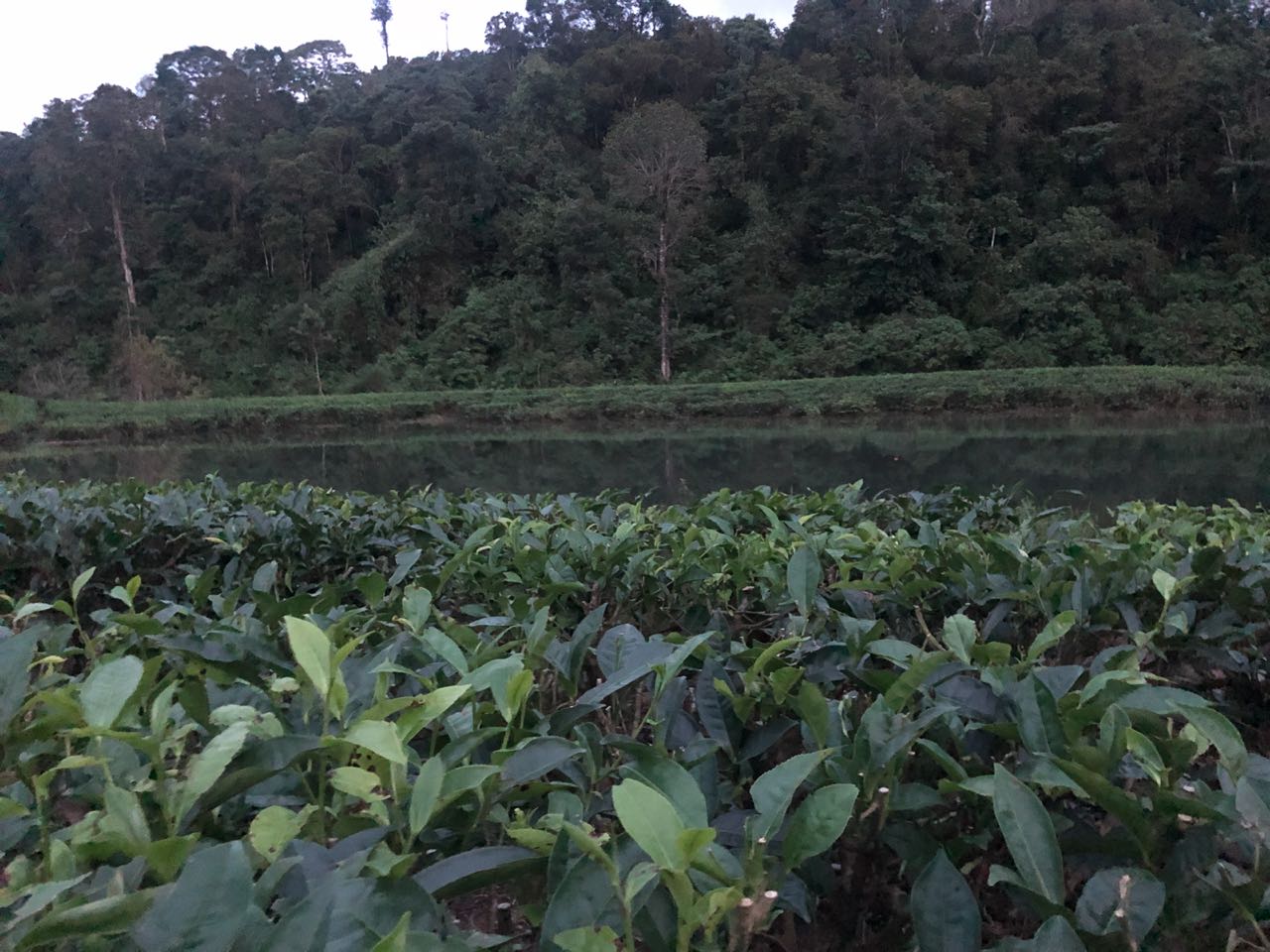 Valparai Hill station