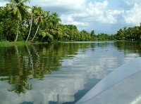 Backwaters Kerala