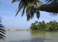 Backwater Kerala