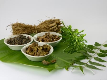 ayurveda medicine