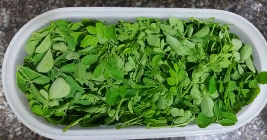 Moringa leaves