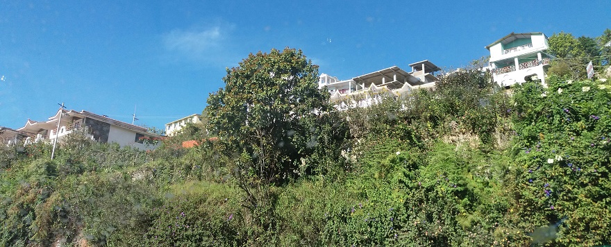 Kodai houses on the hills