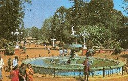 lalbagh flower show