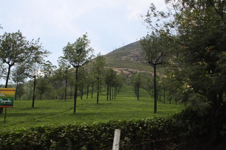 Munnar