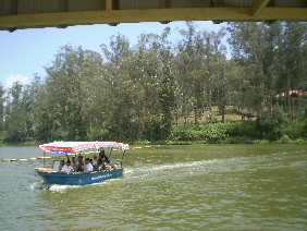 Ooty lake