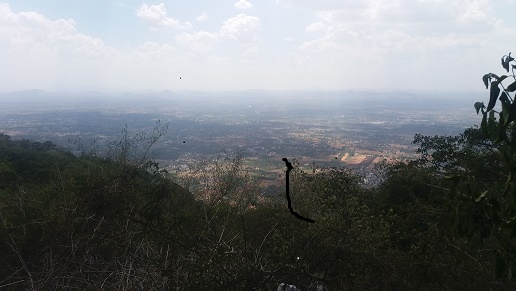 Yelagiri Hills